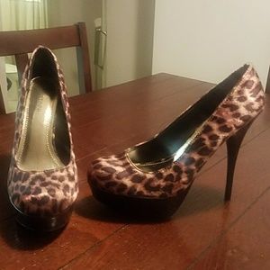 Leopard  pumps about 5 inches.